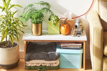 ایگور شفارویچ ، ریاضیدان روسی با میراث سیاسی مختلط ، در 93 سالگی درگذشت.