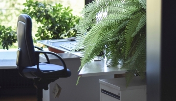 پادشاه ستارگان